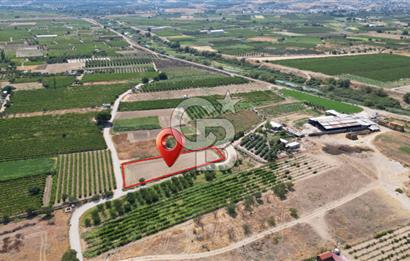 CB İYA' DAN MENEMEN DOĞA KÖY' DE SATILIK TEK TAPU KÖŞE TARLA