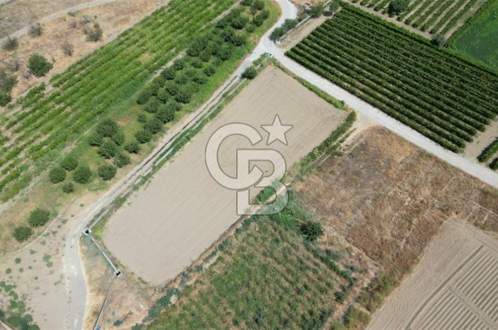 CB İYA' DAN MENEMEN DOĞA KÖY' DE SATILIK TEK TAPU KÖŞE TARLA