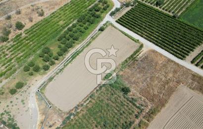 CB İYA' DAN MENEMEN DOĞA KÖY' DE SATILIK TEK TAPU KÖŞE TARLA