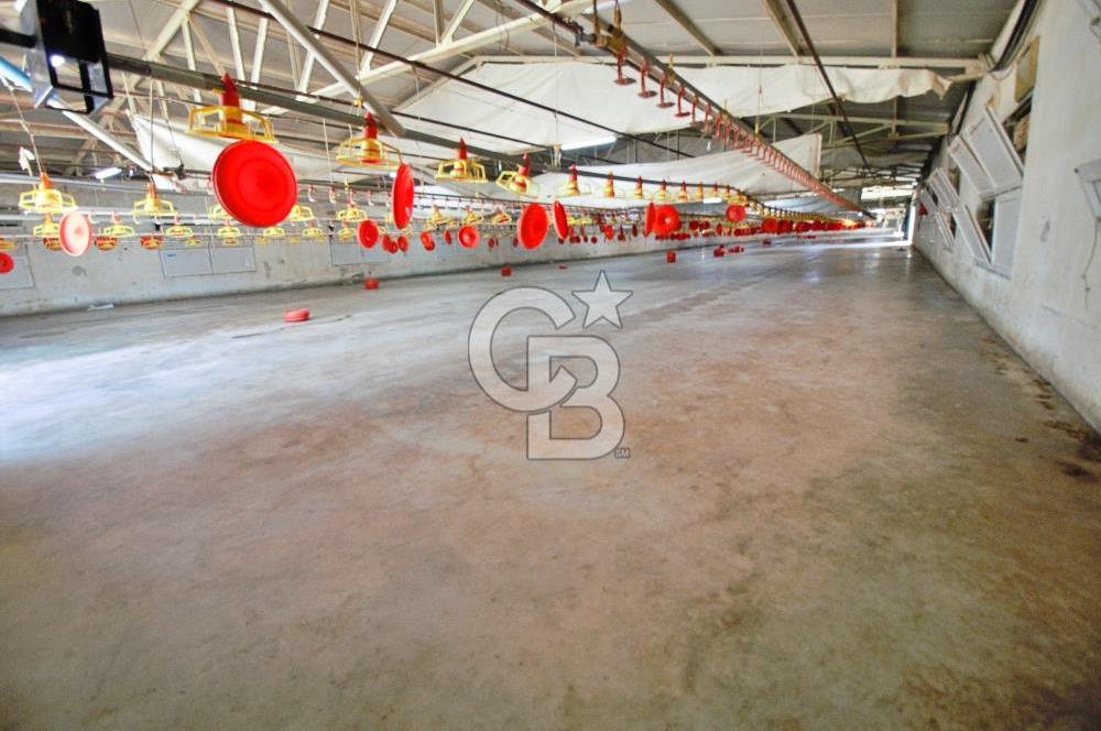 2 PARSEL ÜZERİNDE KURULU 30.000 KAPASİTELİ TAVUK ÇİFTLİĞİ