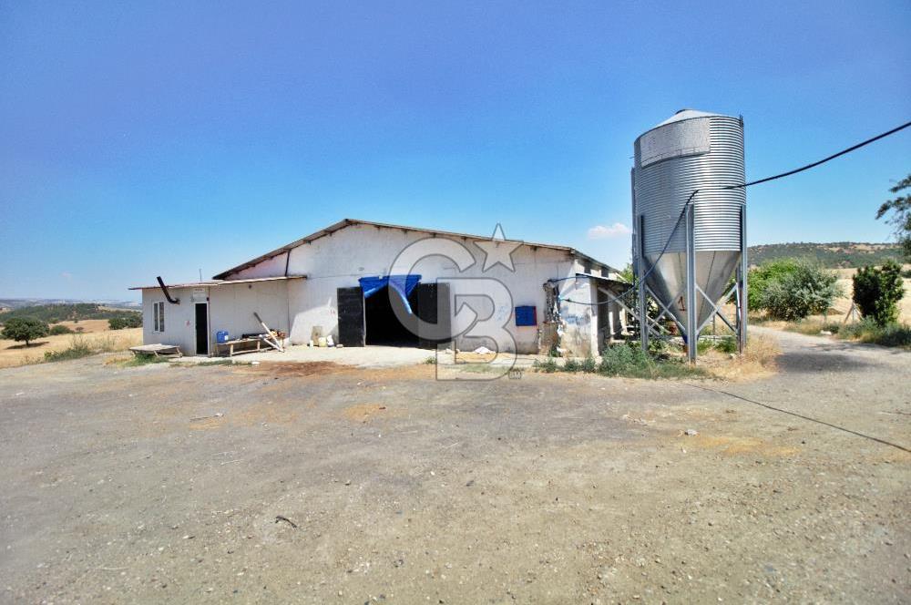 2 PARSEL ÜZERİNDE KURULU 30.000 KAPASİTELİ TAVUK ÇİFTLİĞİ