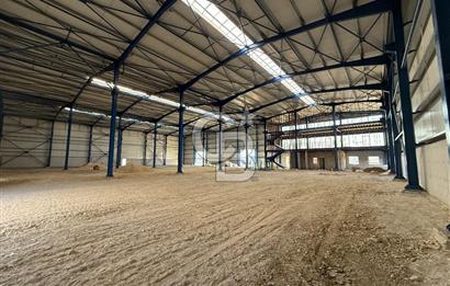 İzmir, Kemalpaşa, Halilbeyli, BAYOSB - Bağyurdu OSB, Kiralık 3.605 m2 Fabrika ve 5.000 m2 Arsa