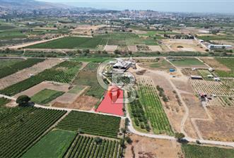 CB İYA' DAN MENEMEN DOĞA KÖY' DE SATILIK TEK TAPU KÖŞE TARLA
