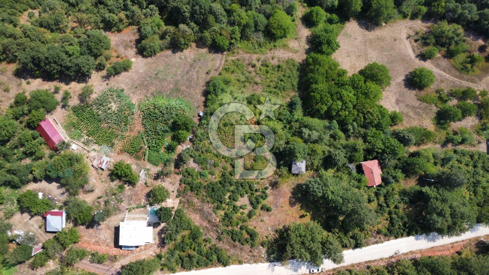 KARTEPE SULTANİYE KÖYÜNDE ASFALT YOL CEPHELİ ARAZİ ELK. SU VAR.