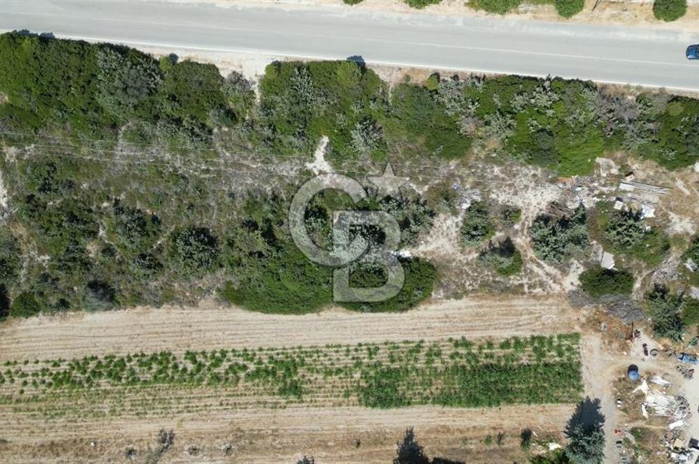 Satılık Tarla Çeşme Hisseli Yatırım Altınkum ve Pırlanta Plajı