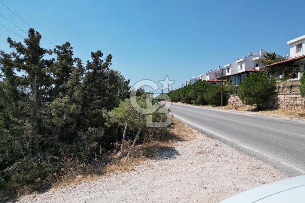 Satılık Tarla Çeşme Hisseli Yatırım Altınkum ve Pırlanta Plajı