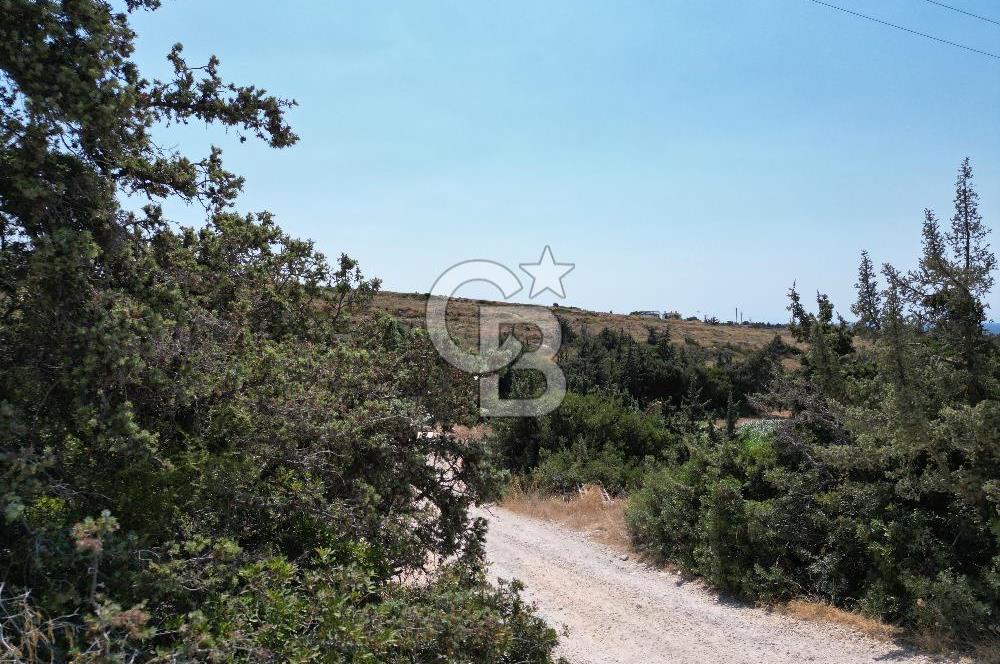 Satılık Tarla Çeşme Hisseli Yatırım Altınkum ve Pırlanta Plajı