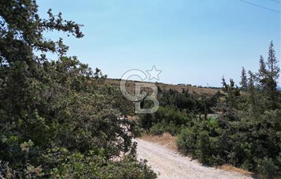 Satılık Tarla Çeşme Hisseli Yatırım Altınkum ve Pırlanta Plajı