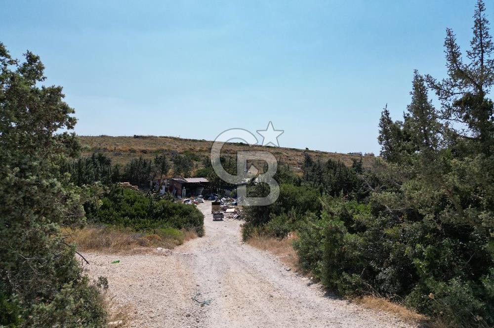 Satılık Tarla Çeşme Hisseli Yatırım Altınkum ve Pırlanta Plajı