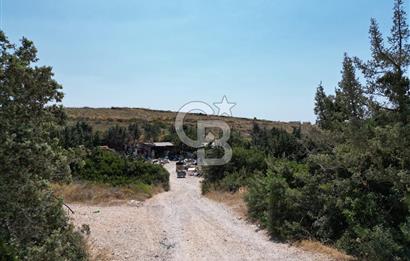 Satılık Tarla Çeşme Hisseli Yatırım Altınkum ve Pırlanta Plajı