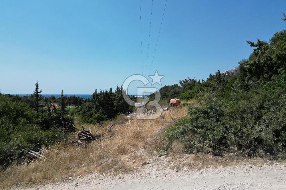 Satılık Tarla Çeşme Hisseli Yatırım Altınkum ve Pırlanta Plajı
