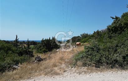 Satılık Tarla Çeşme Hisseli Yatırım Altınkum ve Pırlanta Plajı