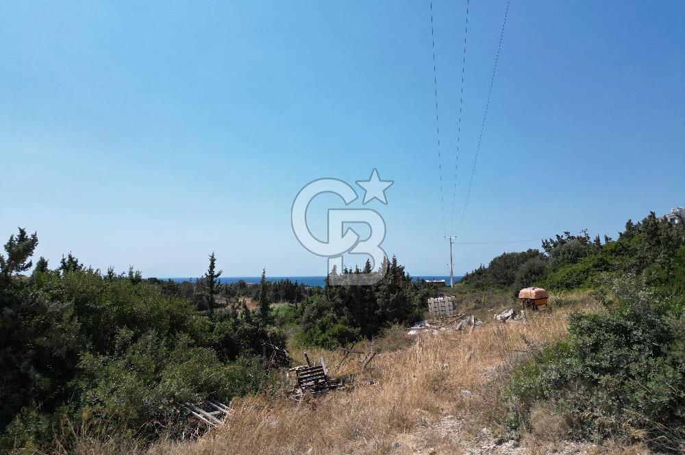Satılık Tarla Çeşme Hisseli Yatırım Altınkum ve Pırlanta Plajı
