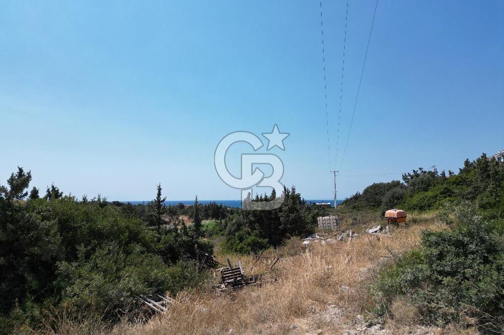 Satılık Tarla Çeşme Hisseli Yatırım Altınkum ve Pırlanta Plajı