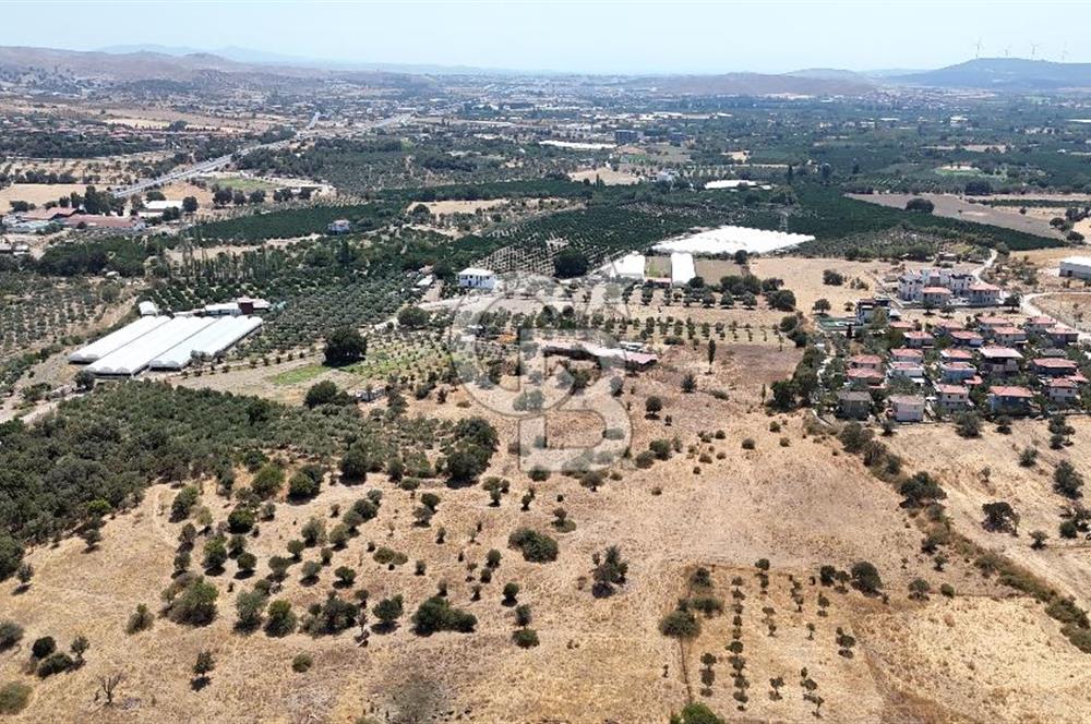 Urla Bademler’de 9.780 m² Yol ve Yerleşime Yakın Satılık Tarla