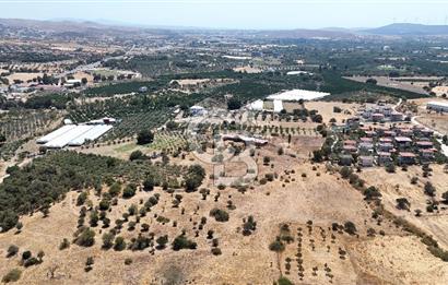 Urla Bademler’de 9.780 m² Yol ve Yerleşime Yakın Satılık Tarla