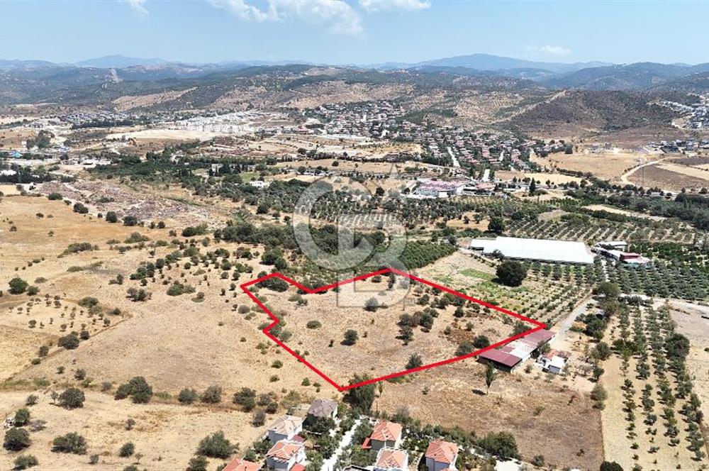 Urla Bademler’de 9.780 m² Yol ve Yerleşime Yakın Satılık Tarla