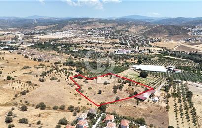 Urla Bademler’de 9.780 m² Yol ve Yerleşime Yakın Satılık Tarla