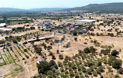 Urla Bademler’de 9.780 m² Yol ve Yerleşime Yakın Satılık Tarla