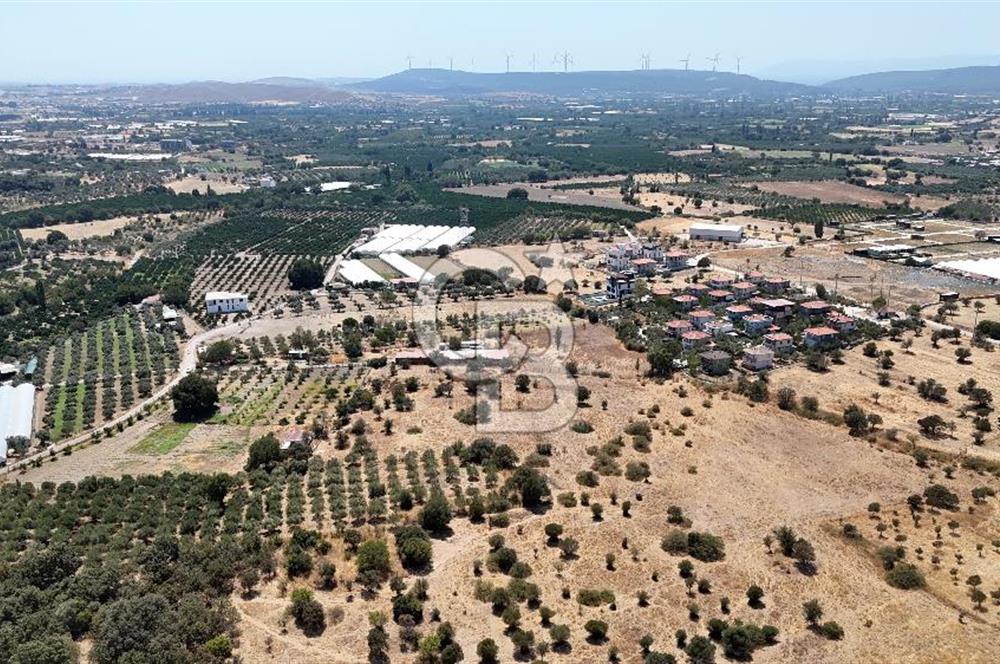 Urla Bademler’de 9.780 m² Yol ve Yerleşime Yakın Satılık Tarla