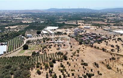 Urla Bademler’de 9.780 m² Yol ve Yerleşime Yakın Satılık Tarla