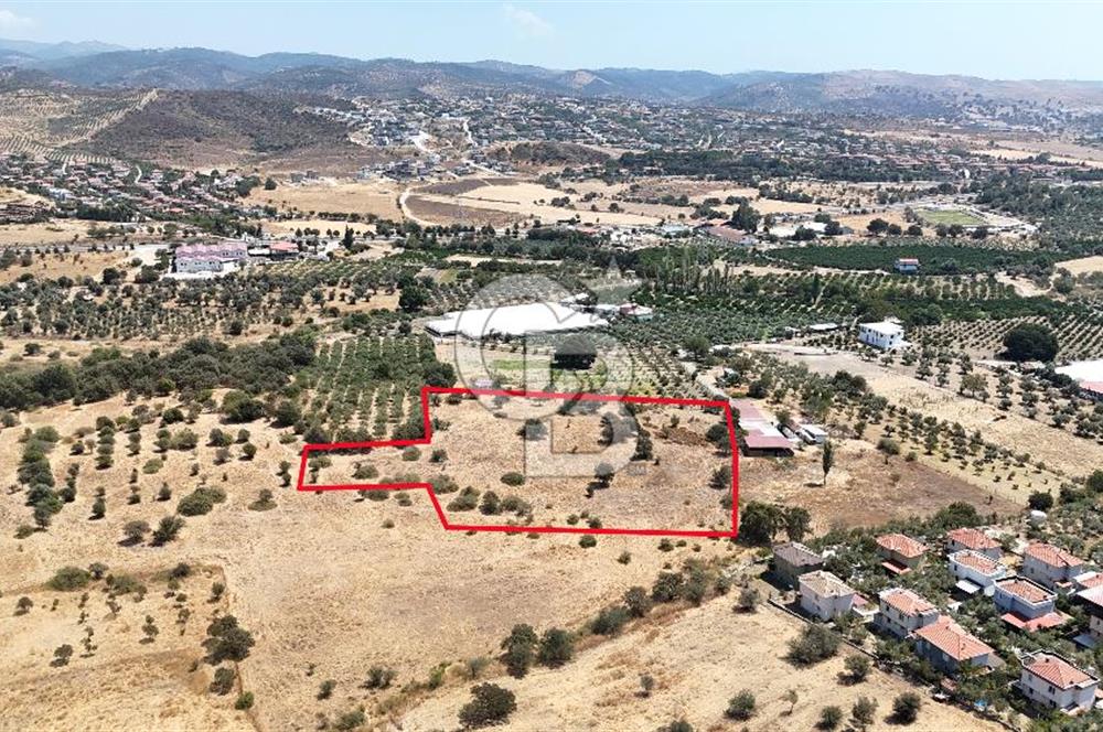 Urla Bademler’de 9.780 m² Yol ve Yerleşime Yakın Satılık Tarla
