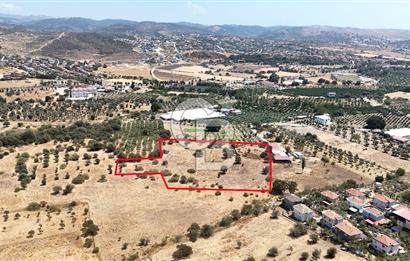 Urla Bademler’de 9.780 m² Yol ve Yerleşime Yakın Satılık Tarla