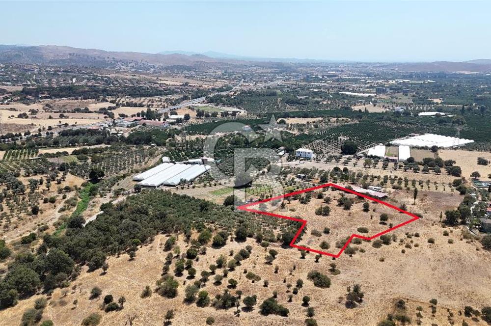 Urla Bademler’de 9.780 m² Yol ve Yerleşime Yakın Satılık Tarla