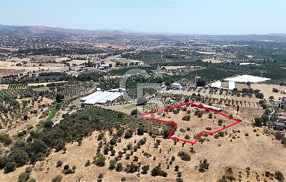 Urla Bademler’de 9.780 m² Yol ve Yerleşime Yakın Satılık Tarla