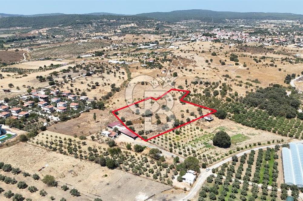 Urla Bademler’de 9.780 m² Yol ve Yerleşime Yakın Satılık Tarla