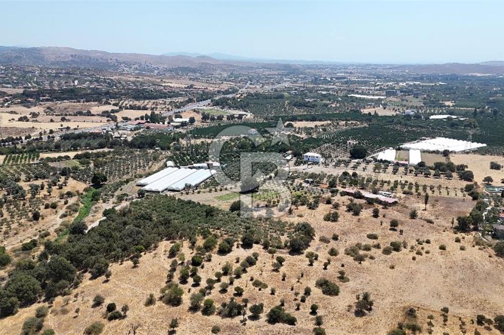 Urla Bademler’de 9.780 m² Yol ve Yerleşime Yakın Satılık Tarla