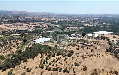 Urla Bademler’de 9.780 m² Yol ve Yerleşime Yakın Satılık Tarla