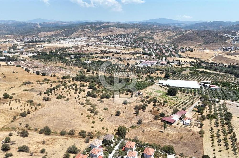 Urla Bademler’de 9.780 m² Yol ve Yerleşime Yakın Satılık Tarla