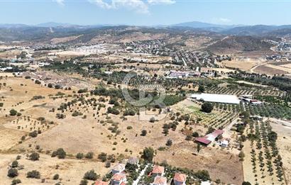 Urla Bademler’de 9.780 m² Yol ve Yerleşime Yakın Satılık Tarla