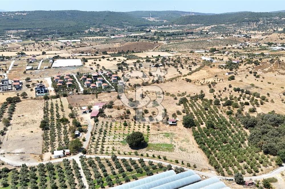 Urla Bademler’de 9.780 m² Yol ve Yerleşime Yakın Satılık Tarla