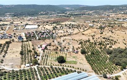 Urla Bademler’de 9.780 m² Yol ve Yerleşime Yakın Satılık Tarla