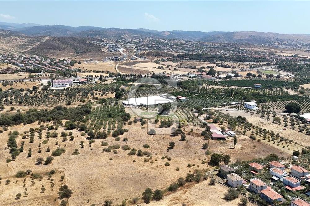 Urla Bademler’de 9.780 m² Yol ve Yerleşime Yakın Satılık Tarla