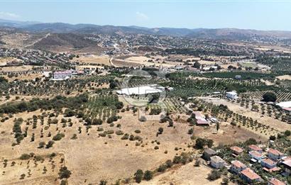Urla Bademler’de 9.780 m² Yol ve Yerleşime Yakın Satılık Tarla