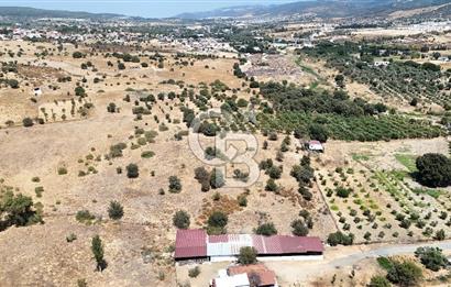 Urla Bademler’de 9.780 m² Yol ve Yerleşime Yakın Satılık Tarla