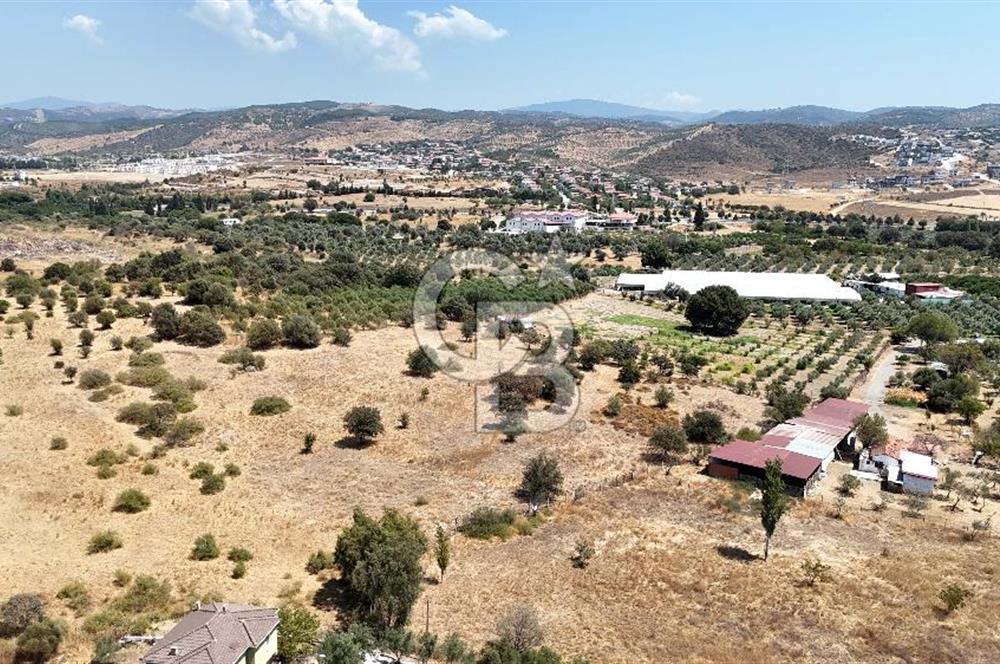 Urla Bademler’de 9.780 m² Yol ve Yerleşime Yakın Satılık Tarla