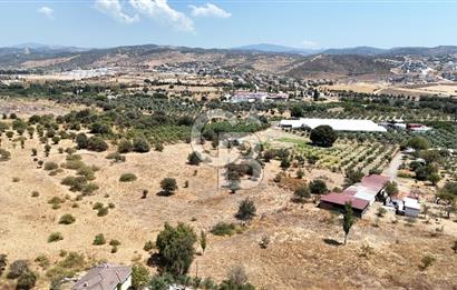 Urla Bademler’de 9.780 m² Yol ve Yerleşime Yakın Satılık Tarla