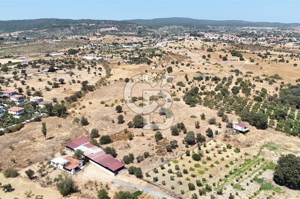 Urla Bademler’de 9.780 m² Yol ve Yerleşime Yakın Satılık Tarla