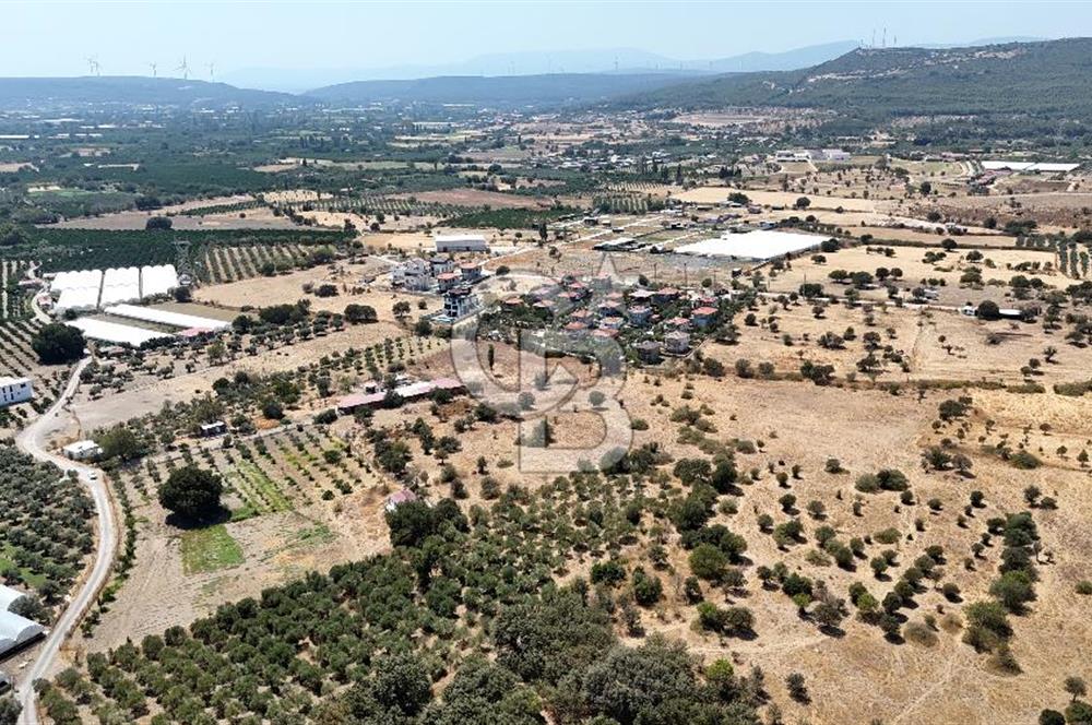 Urla Bademler’de 9.780 m² Yol ve Yerleşime Yakın Satılık Tarla