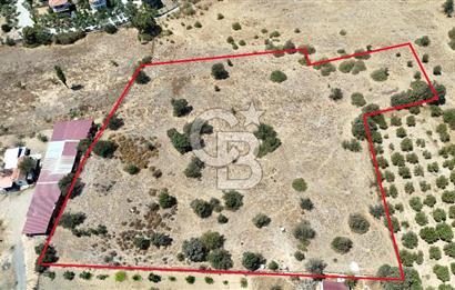 Urla Bademler’de 9.780 m² Yol ve Yerleşime Yakın Satılık Tarla