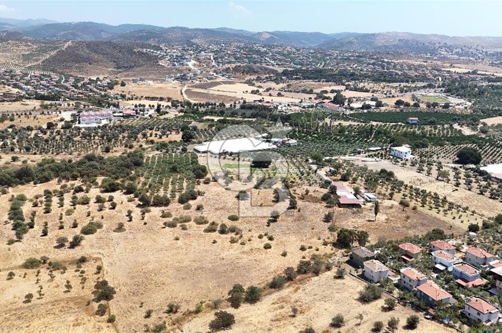 Urla Bademler’de 9.780 m² Yol ve Yerleşime Yakın Satılık Tarla
