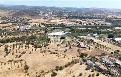 Urla Bademler’de 9.780 m² Yol ve Yerleşime Yakın Satılık Tarla