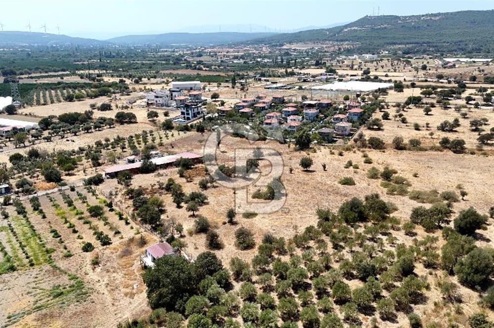 Urla Bademler’de 9.780 m² Yol ve Yerleşime Yakın Satılık Tarla