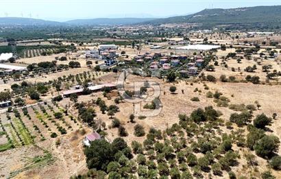 Urla Bademler’de 9.780 m² Yol ve Yerleşime Yakın Satılık Tarla
