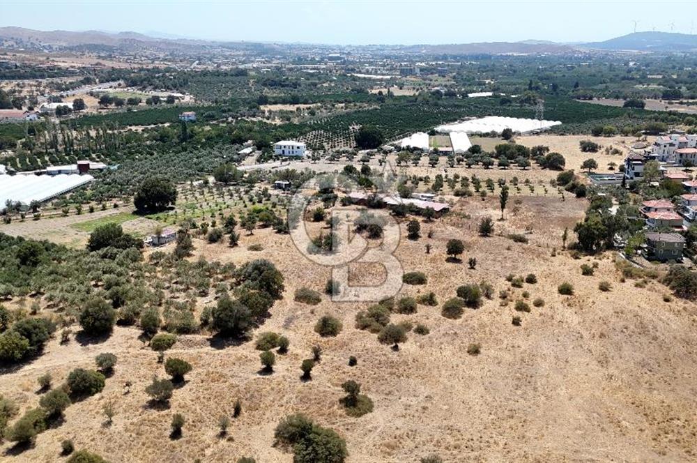 Urla Bademler’de 9.780 m² Yol ve Yerleşime Yakın Satılık Tarla