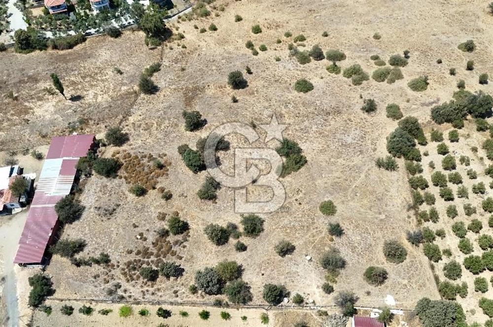 Urla Bademler’de 9.780 m² Yol ve Yerleşime Yakın Satılık Tarla